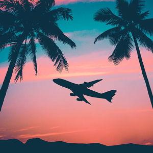 Air Fare to Maui
