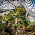 Myriad Botanical Gardens