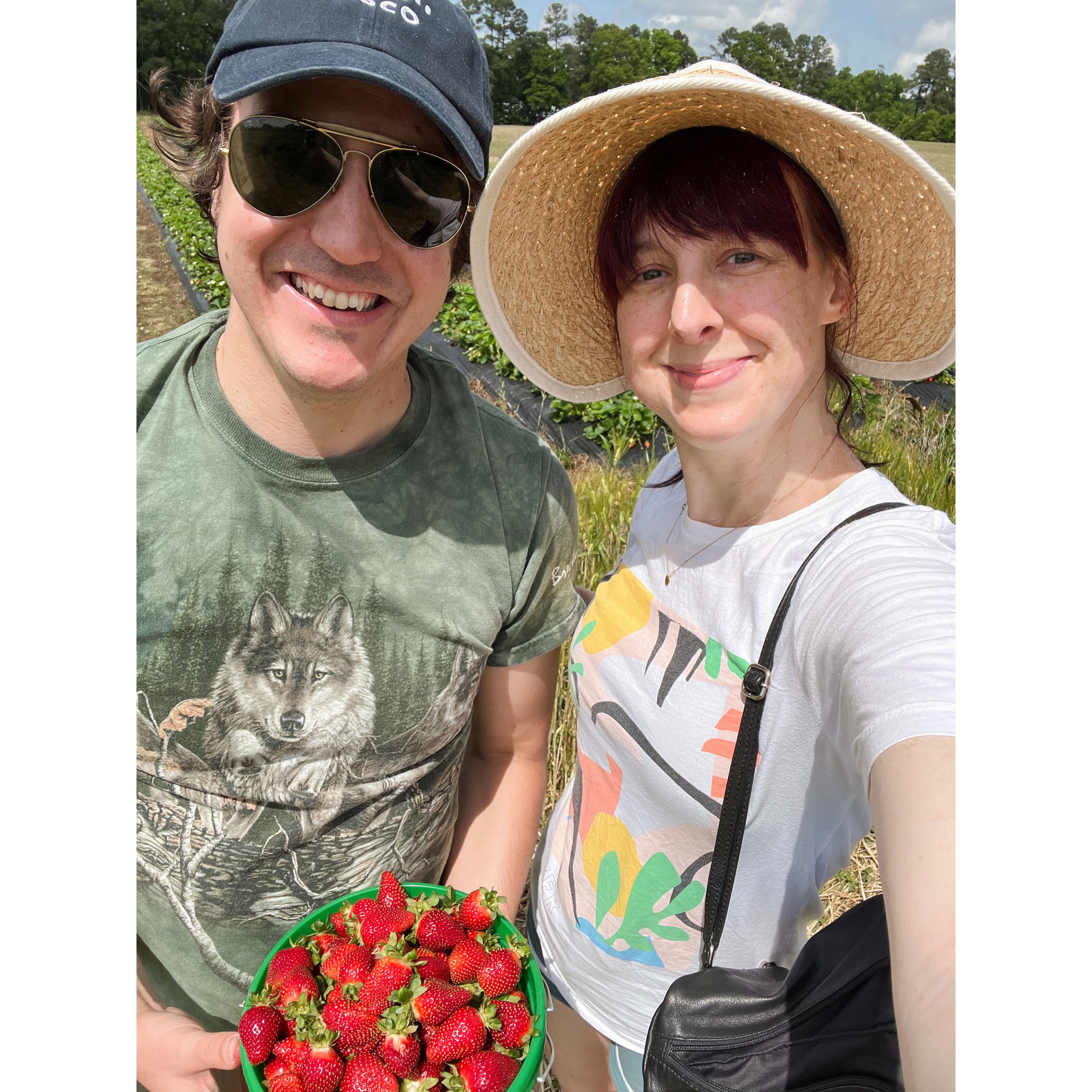 Sean's first time going strawberry picking