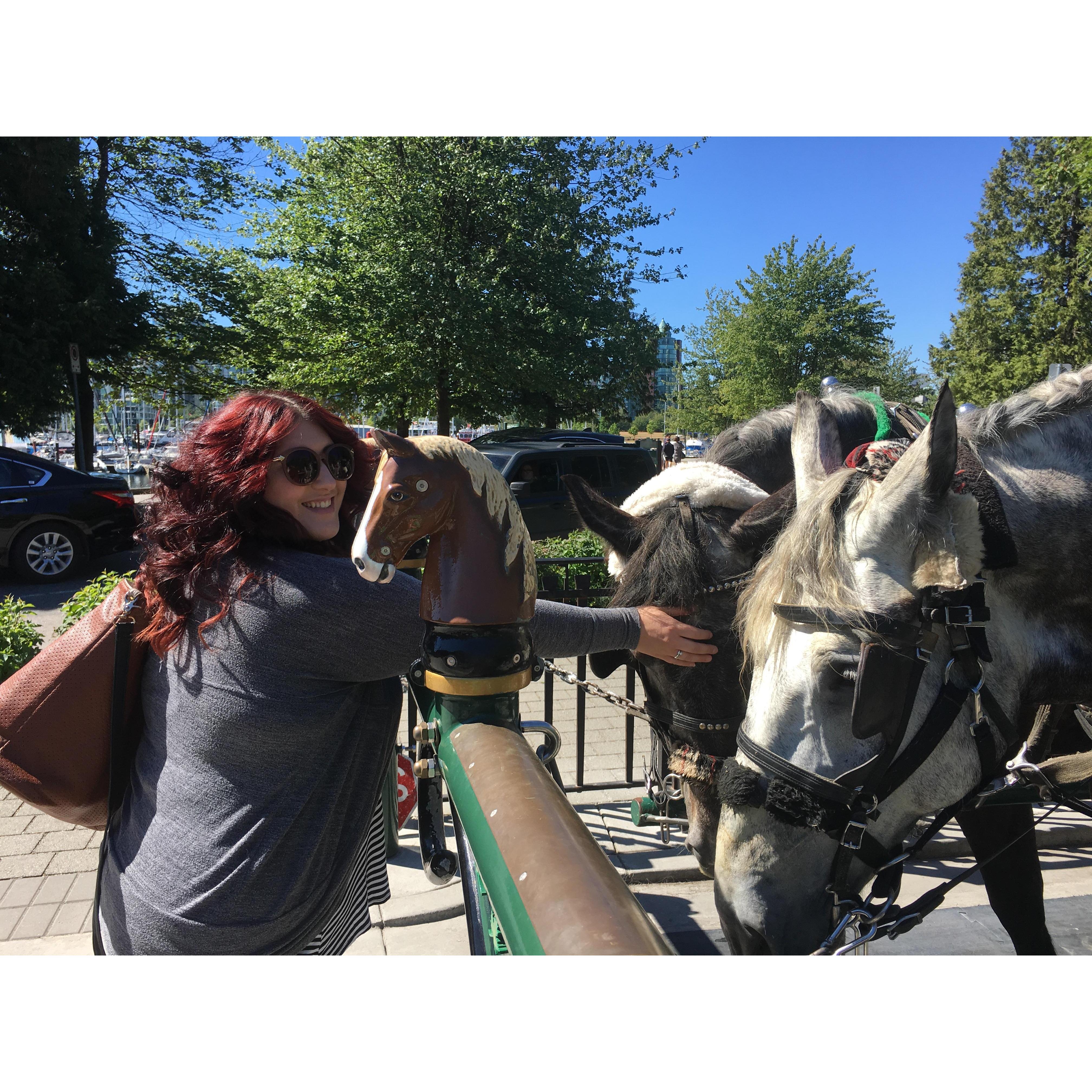 Gotta touch the horseys!!