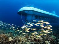 Atlantis Adventures Hawaii