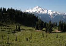 Mt. Baker-Snoqualmie National Forest