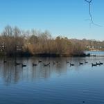 Mountain Creek Park