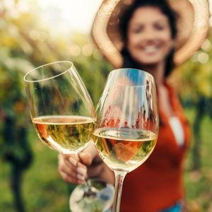 Tour de vinos en Santorini