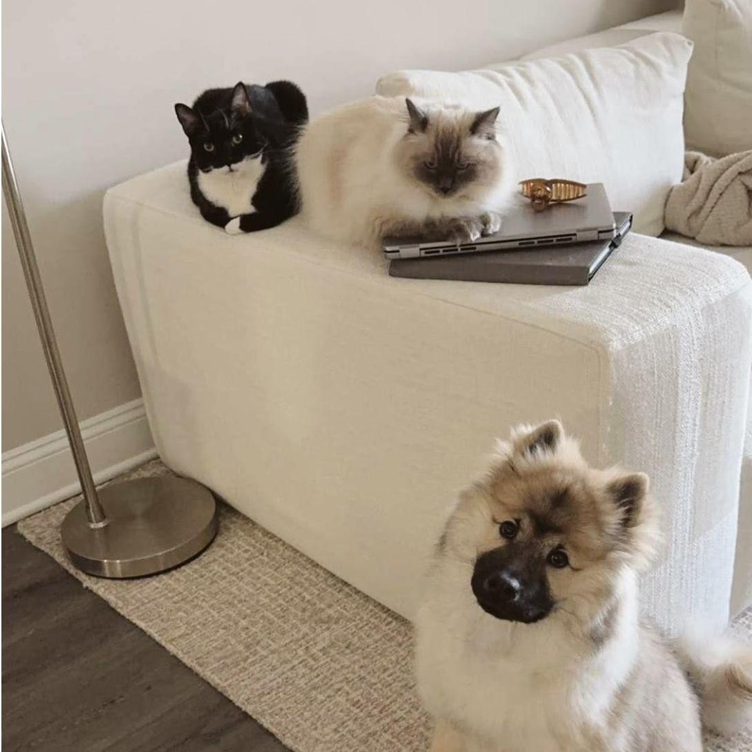 Our babies