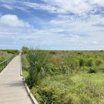 Sullivan's Island