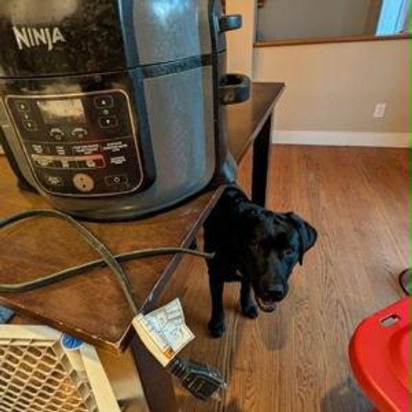 Air Fryer Fund