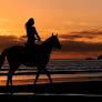 Horse back riding
