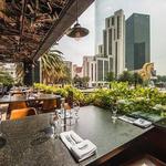 Sonora Grill