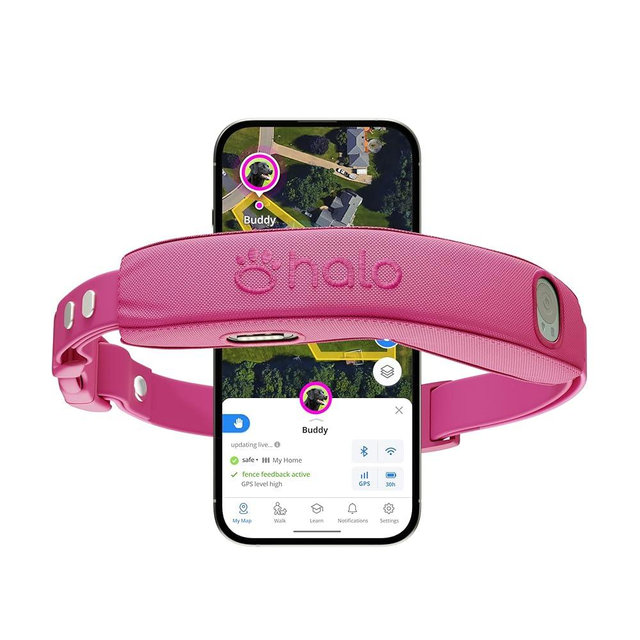 Halo Collar 4, All New GPS Wireless Dog Fence & Dog Training Collar with GPS Tracker, Waterproof, One Size (4 Colors)