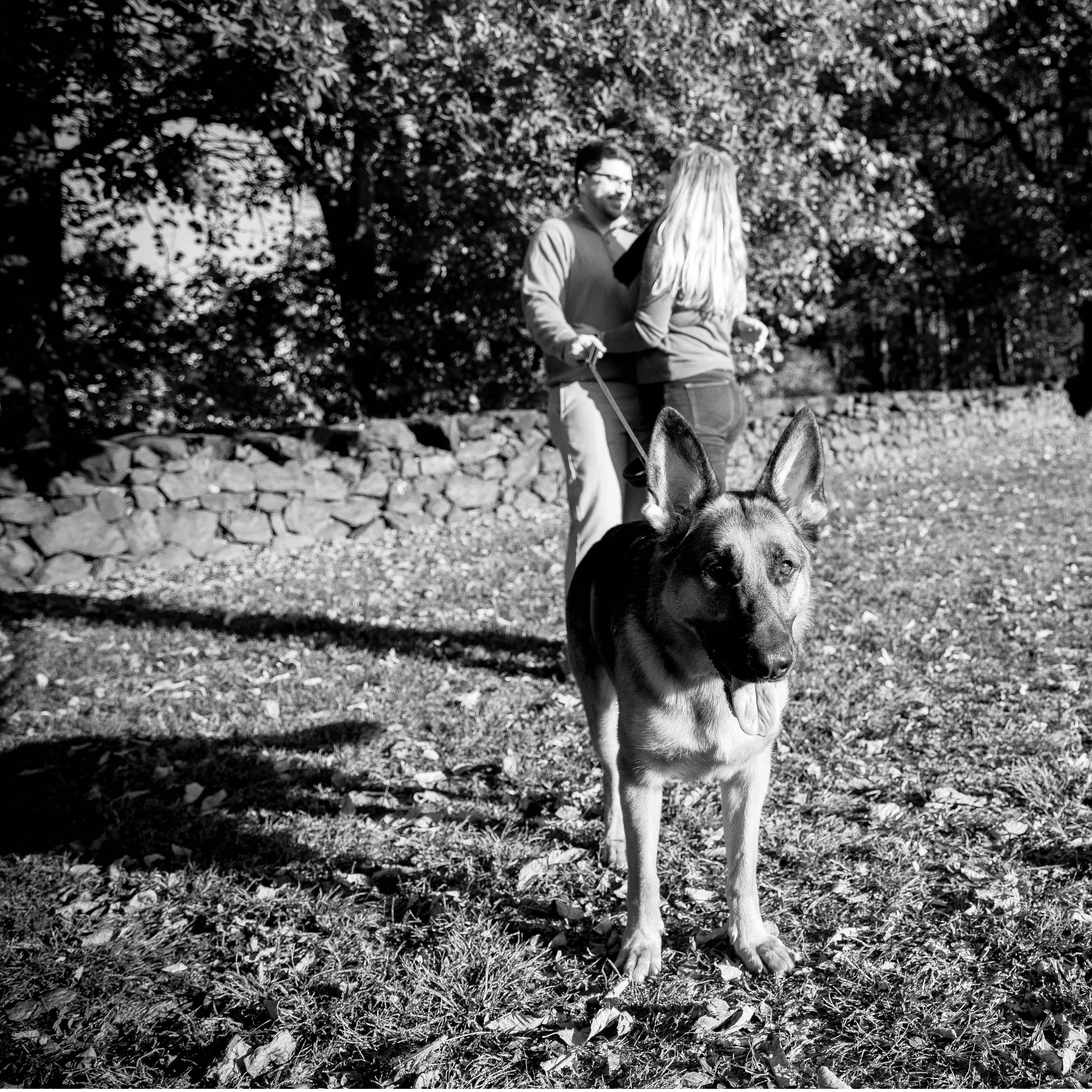 Engagement Photo