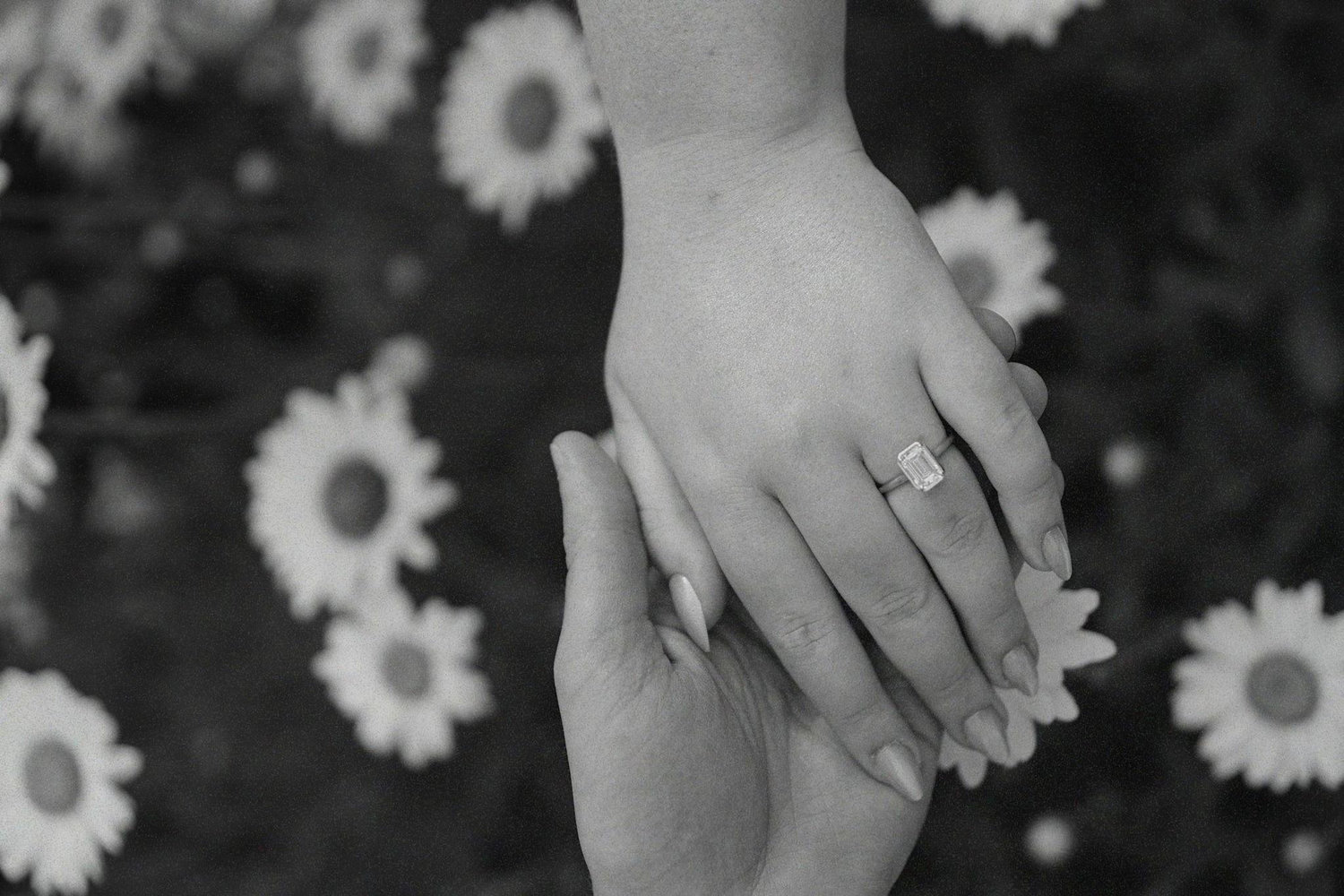 The Wedding Website of Kyle D’Alessio and Chloe Palmiere