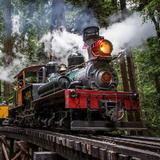 Roaring Camp