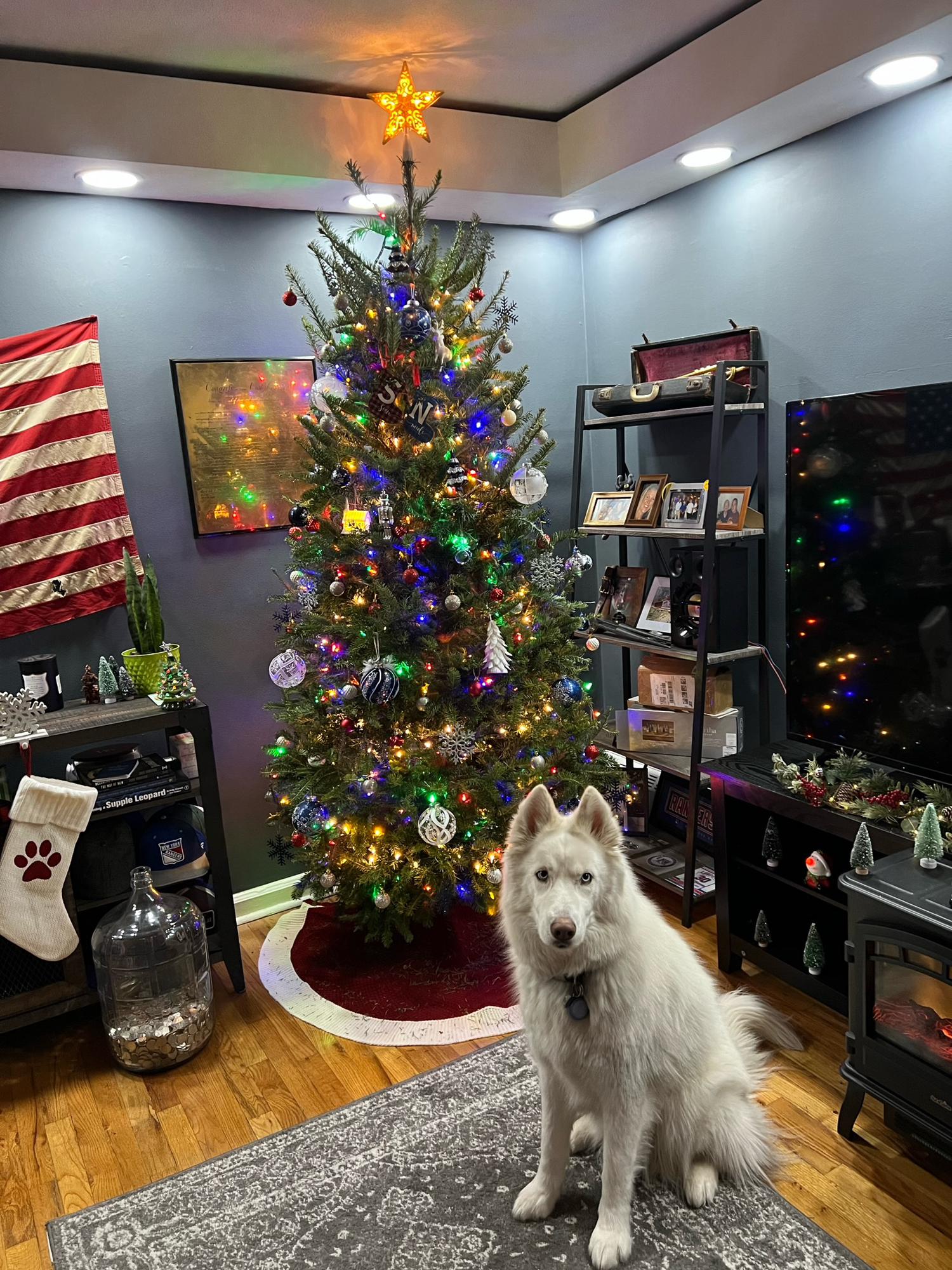 Our first Christmas tree (and Spectre)