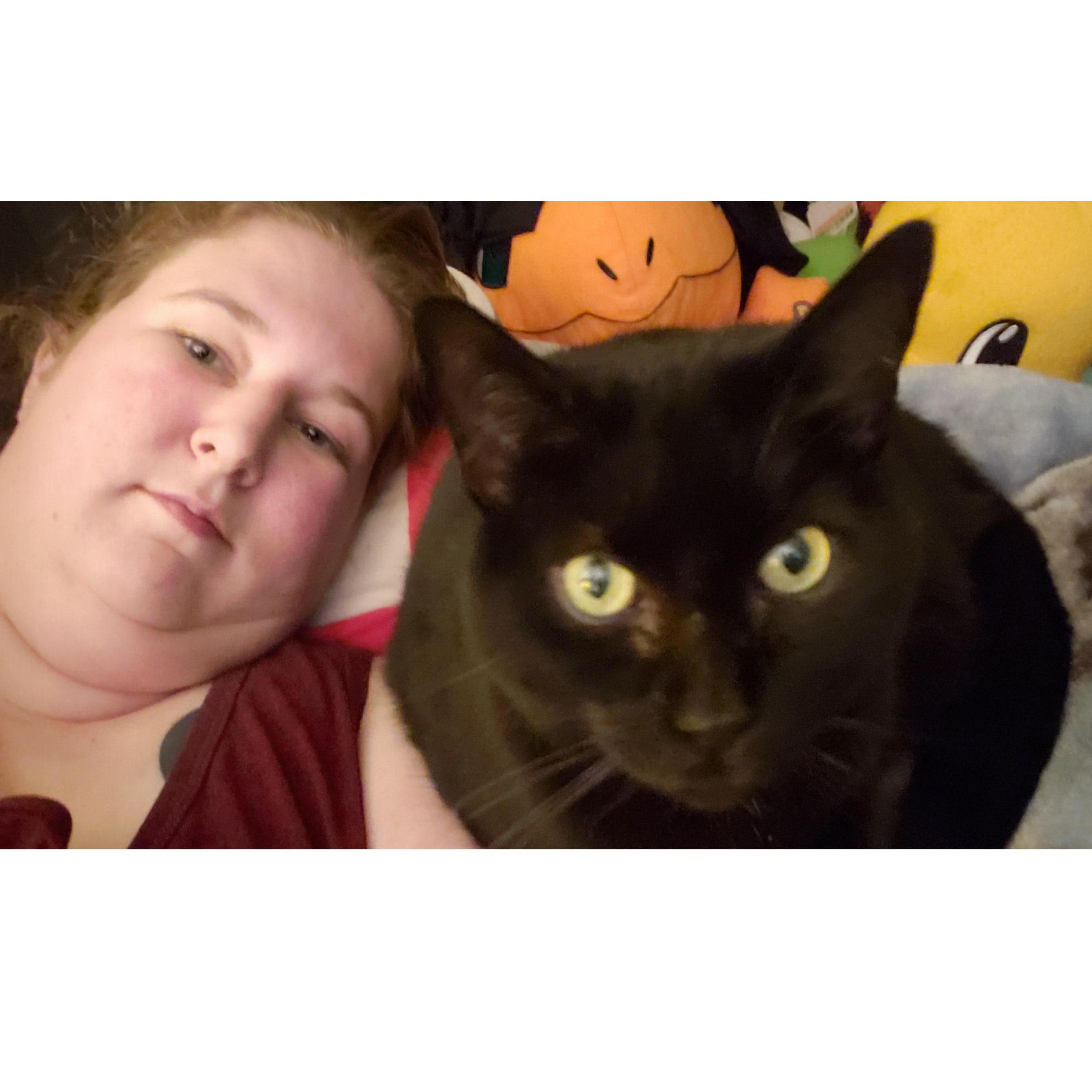 One of four Fur Children. Midget is the ambassador of cats.