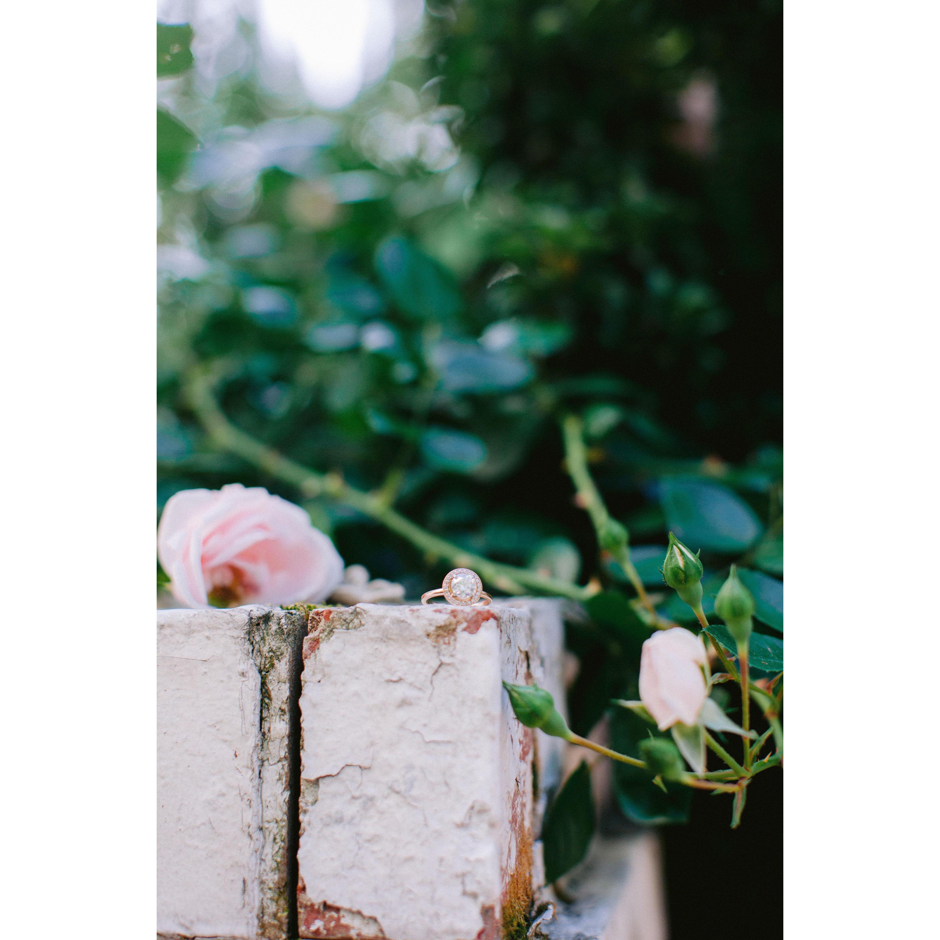 Nikki Santerre Photography