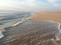 Beaches