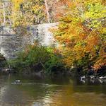 Wissahickon Park