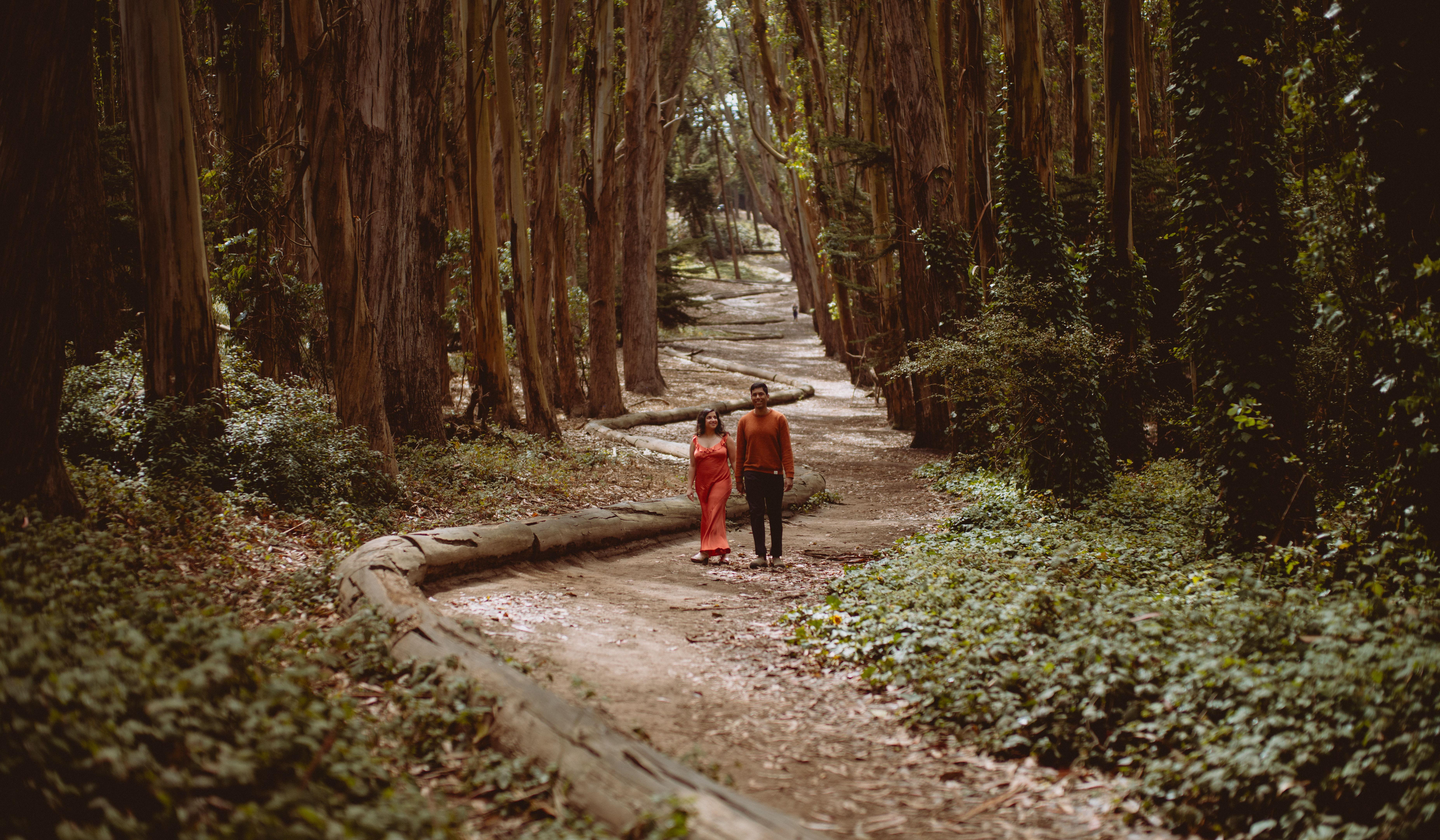 Hero Slideshow Image 0