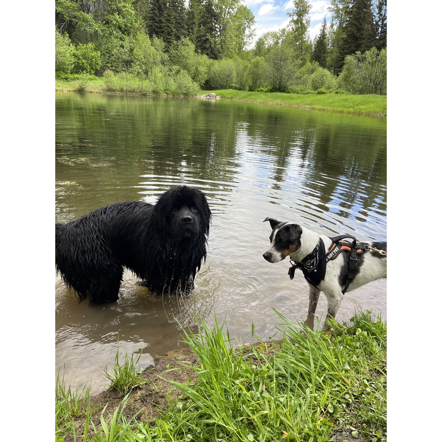 The boy's favorite spot...helping us fish