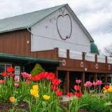 White House Fruit Farm Inc