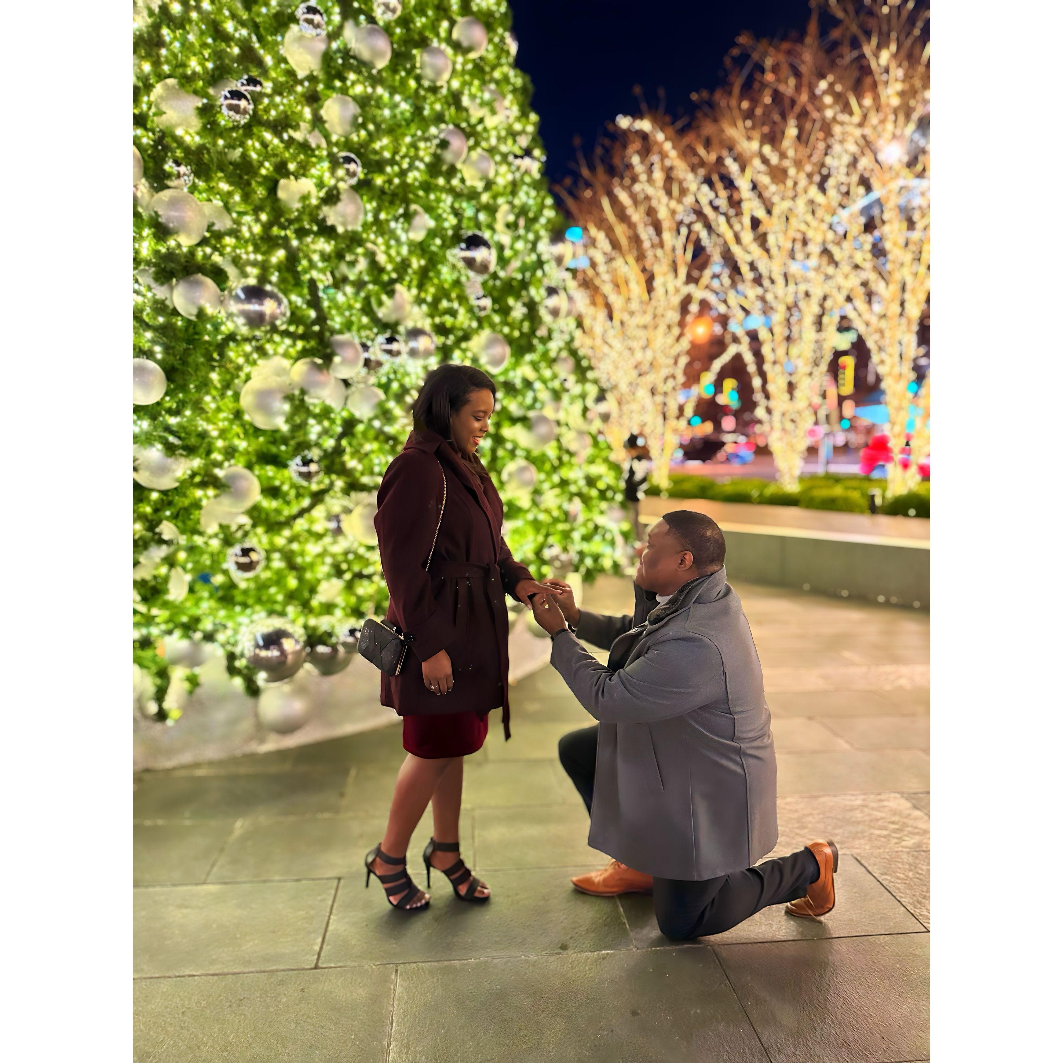 I said, "Yes!"