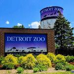 Detroit Zoo