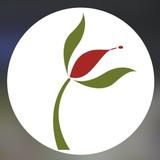 Klehm Arboretum & Botanic Garden