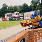 The Asheville Tourists