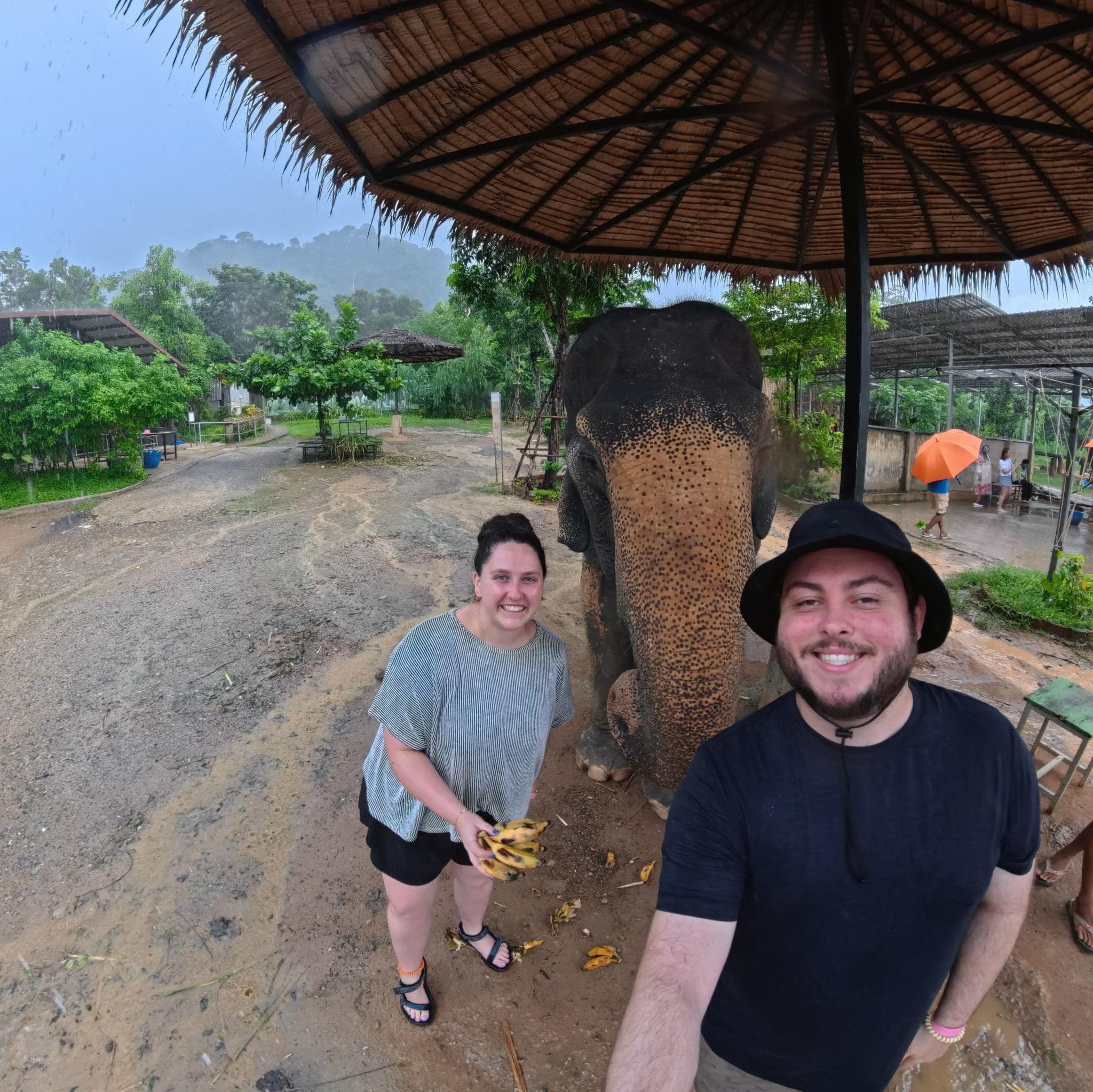 Feeding elephants at a rescue sanctuary - Thailand