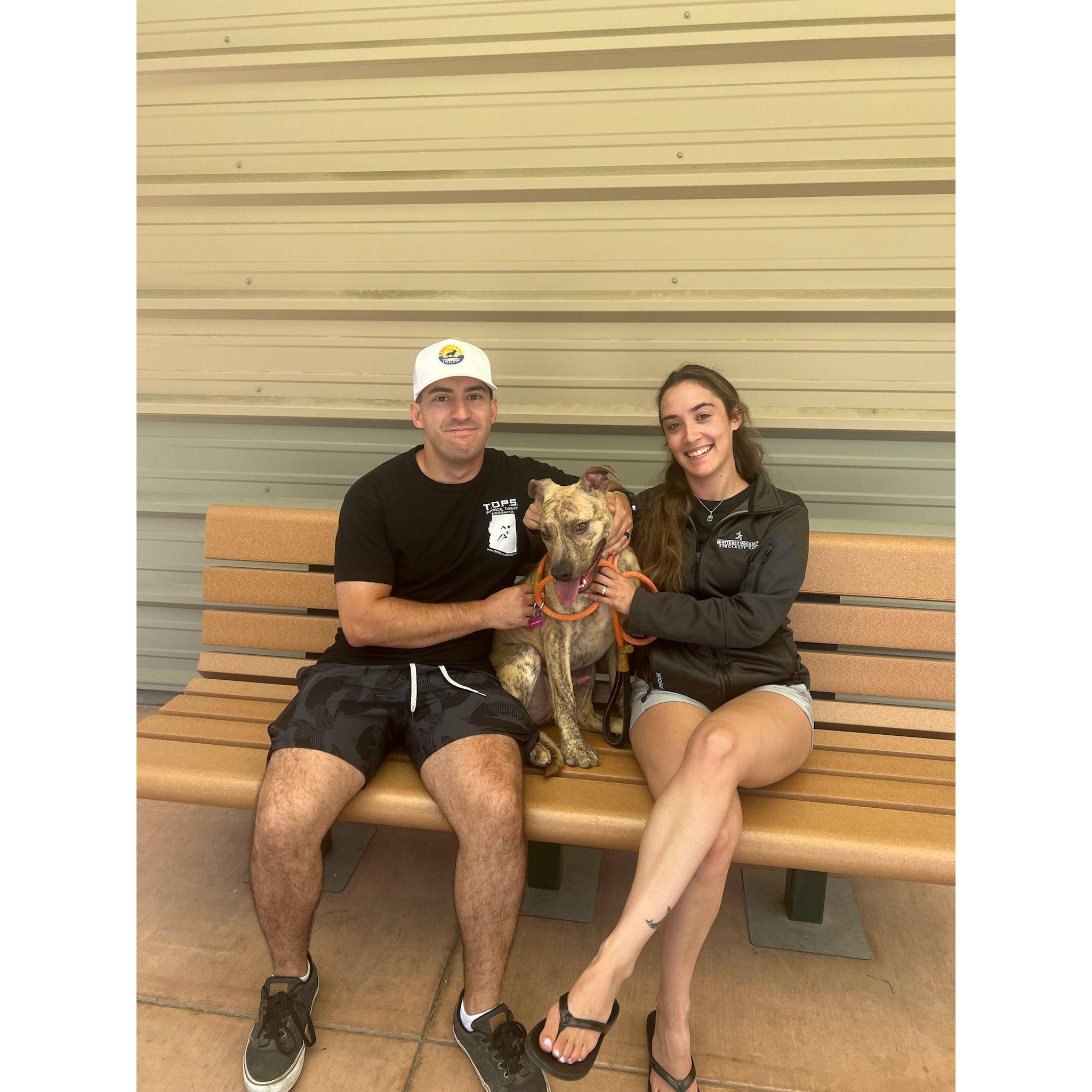 First getting Yankee