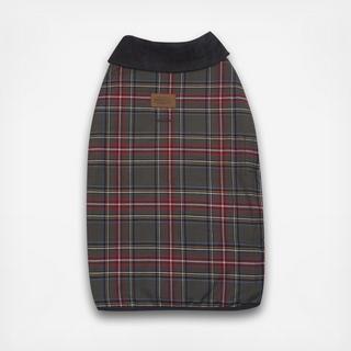 Stewart Tartan Pet Coat