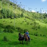 Valle del Cocora