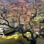 Portland Japanese Garden