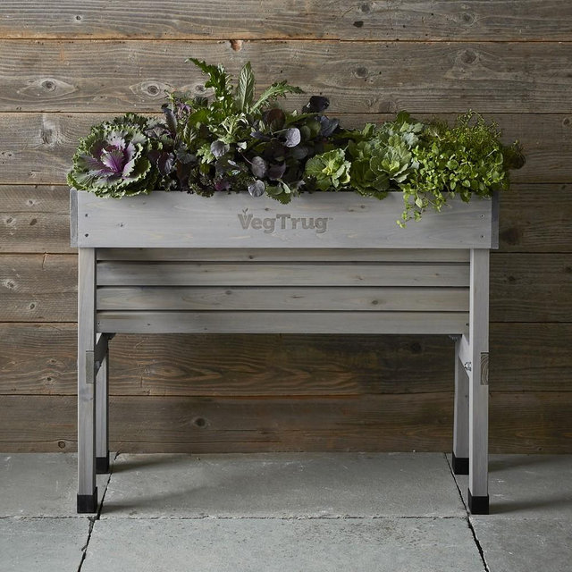 Vegtrug Wallhugger, Small, Grey