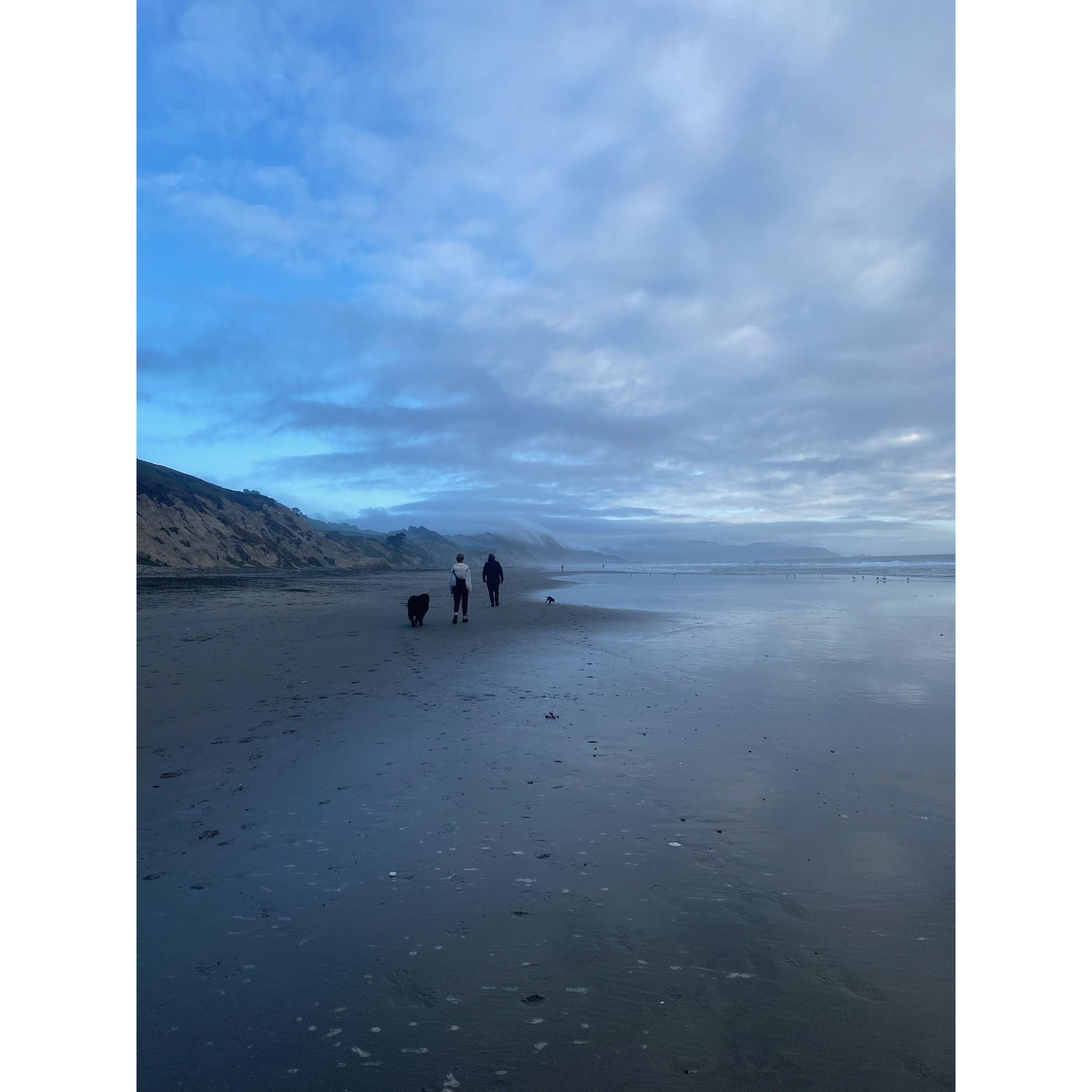 Fort Funston Beach walk with Rhea and Xena, San Francisco 2023