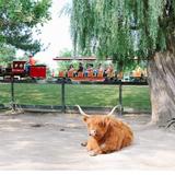 Saginaw Children's Zoo