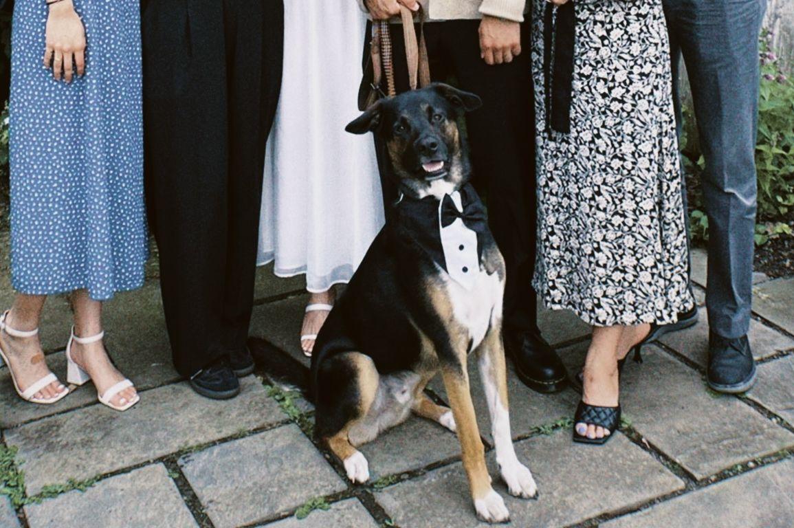 The Wedding Website of Sarah Kim and Kyler Schmidt