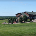 Weingarten Vineyard