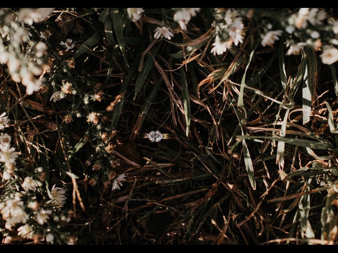 The Wedding Website of Morgan Schweihofer and Brett D'Andrea