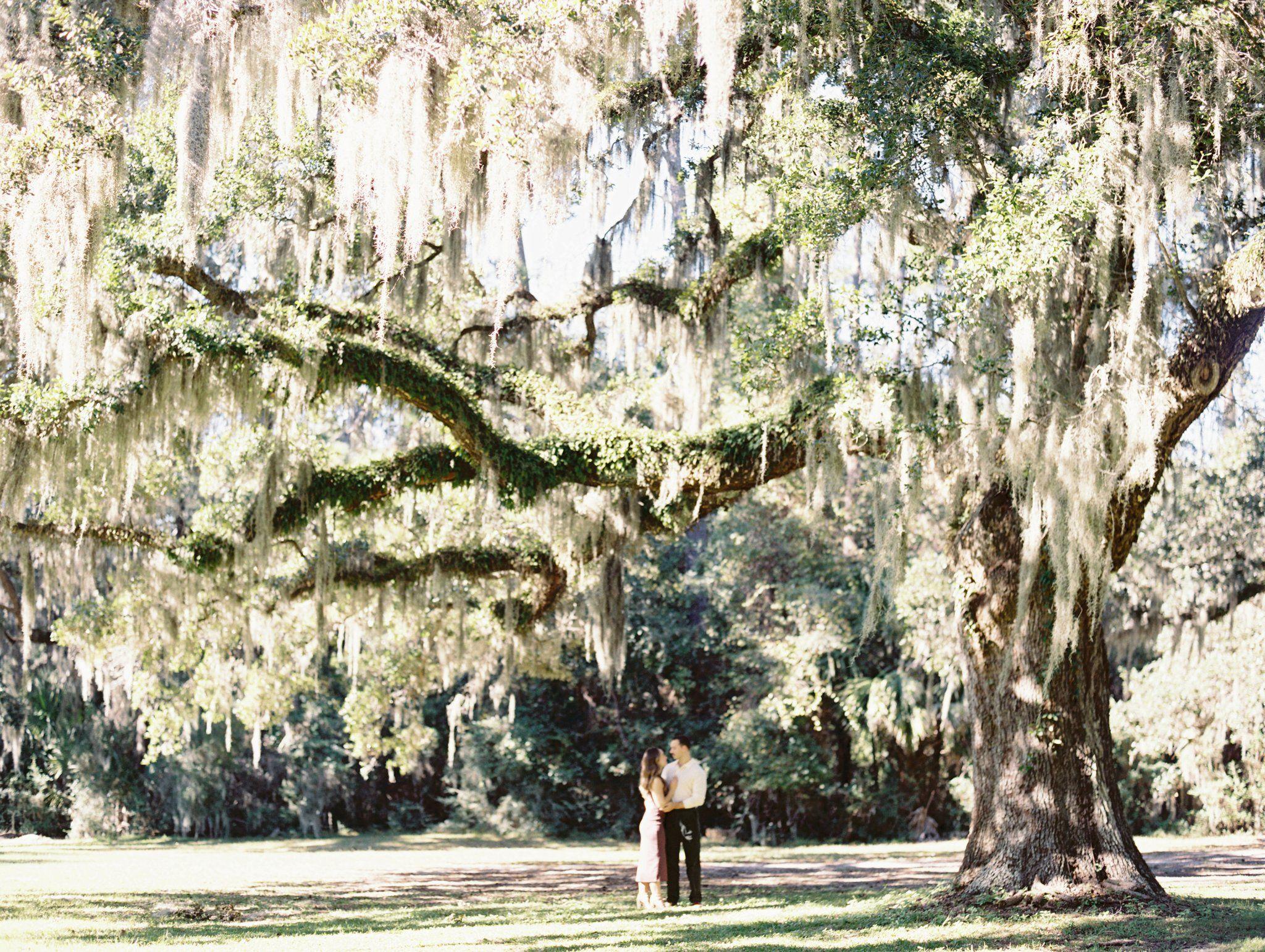 The Wedding Website of Noelia Goti and Reed Cowan