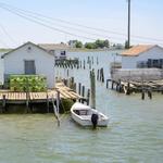 Tangier Island