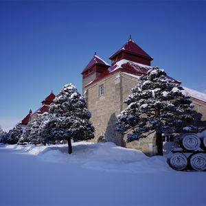 Nikka Whiskey Distillery Tour and Tasting