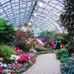 Garfield Park Conservatory