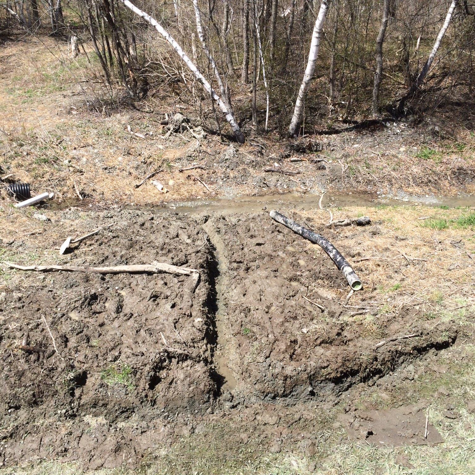 Colin's bowels after a boys weekend. 