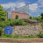 Tennessee Aquarium