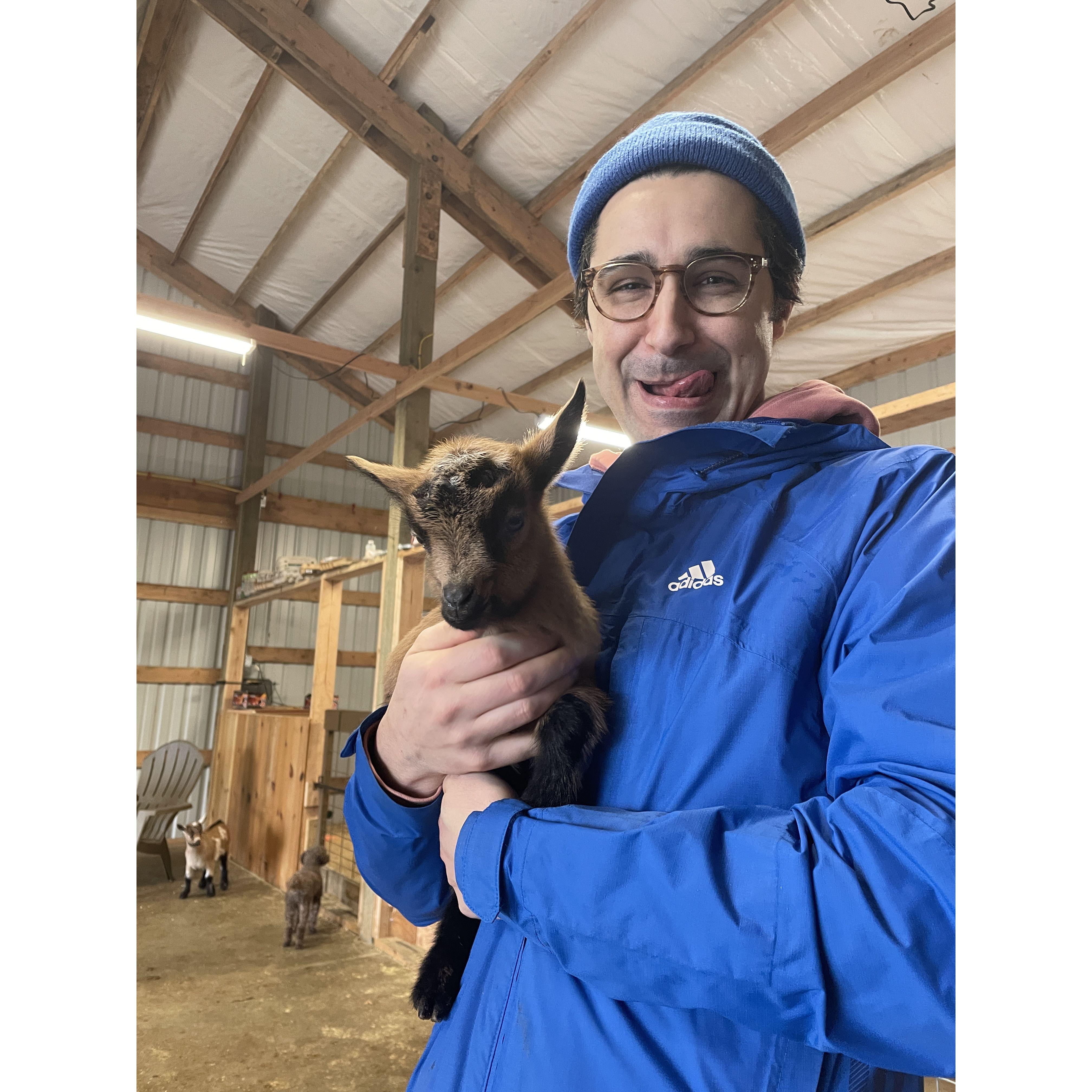 Baby goats!