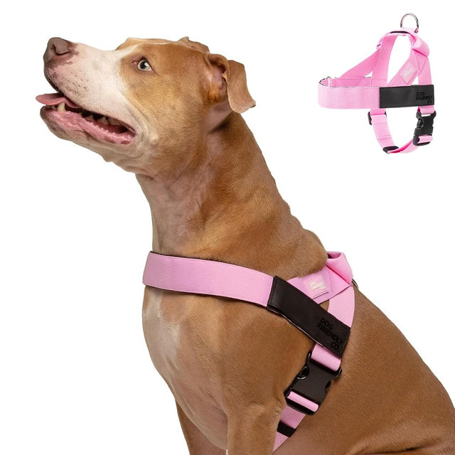 Dog Friendly Co. Dog Harness | Chafe Resistant Webbing, Adjustable Neck & Chest, and Heavy Duty D-Ring | Sturdy, Comfortable, Easy to Use | Pink, Size M
