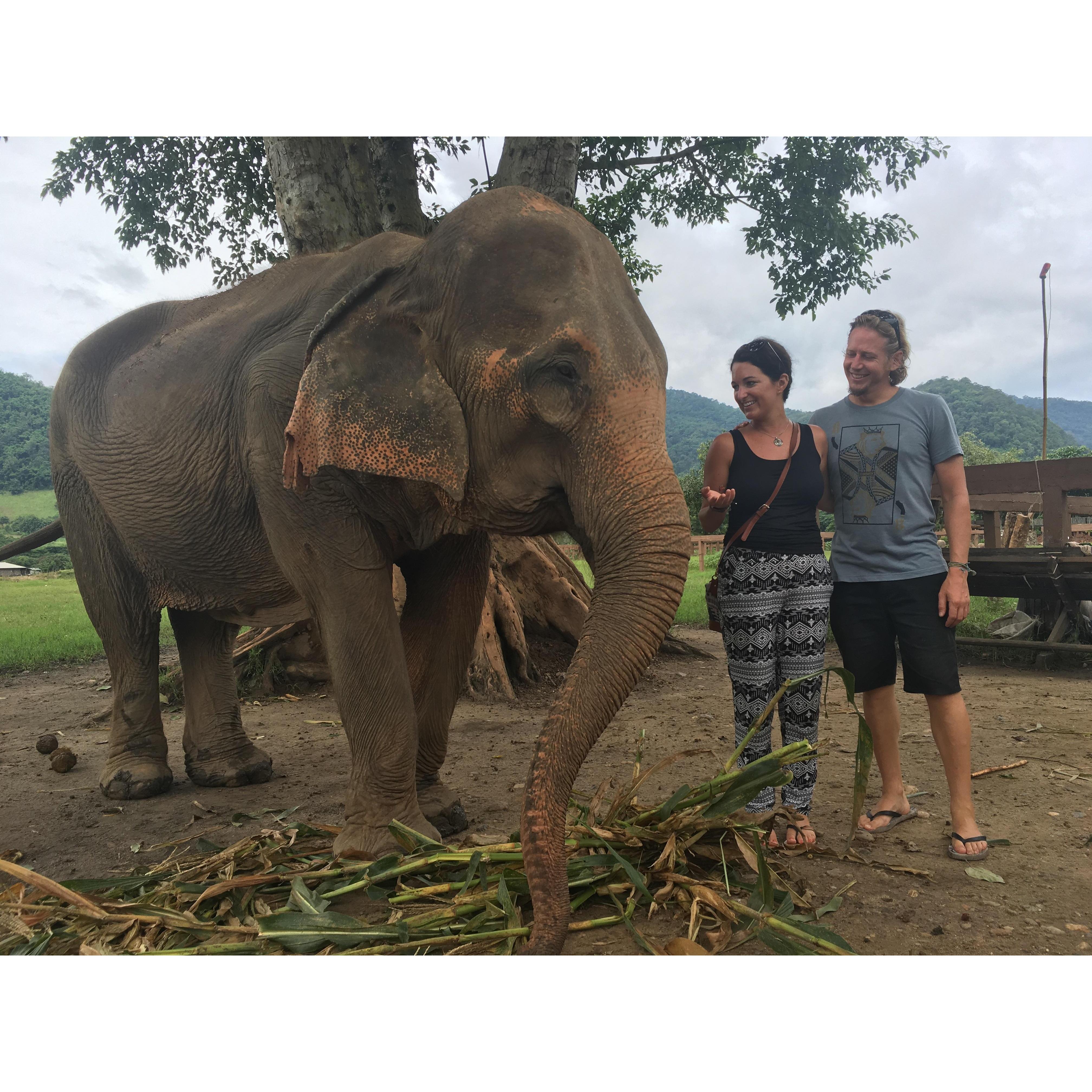 Making elephant friends in Thailand
