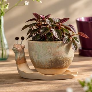 Stoneware Snail Planter
